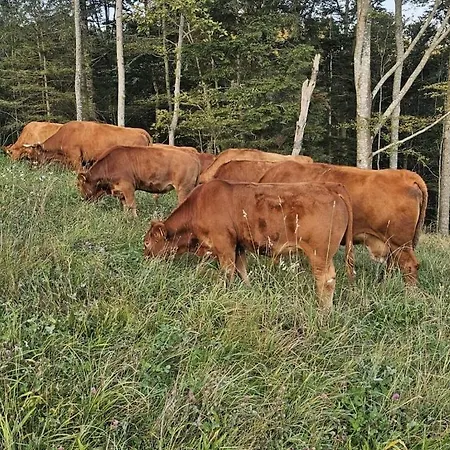 펜션 In St Peter With Balcony *