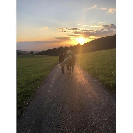 In St Peter With Balcony Rohr (Baden-Wurttemberg)