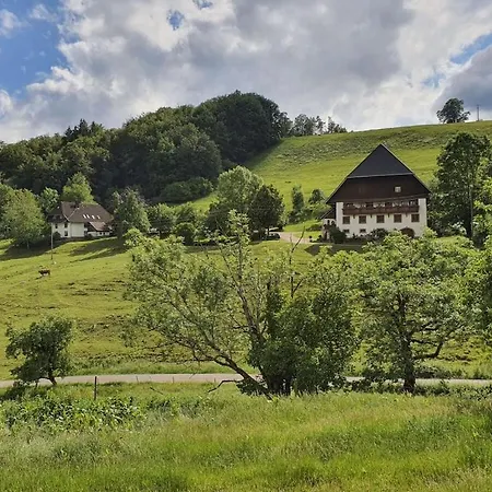 In St Peter With Balcony 펜션 Rohr (Baden-Wurttemberg)