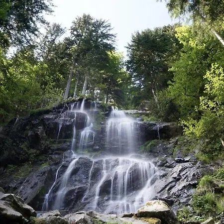 In St Peter With Balcony * Rohr (Baden-Wurttemberg)